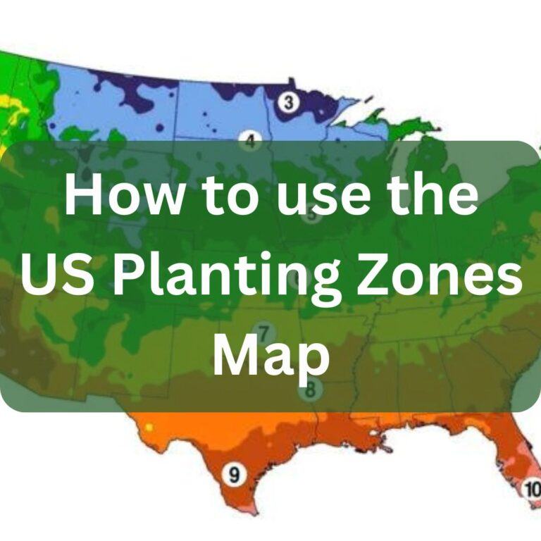 How to Use the US Planting Zones Map