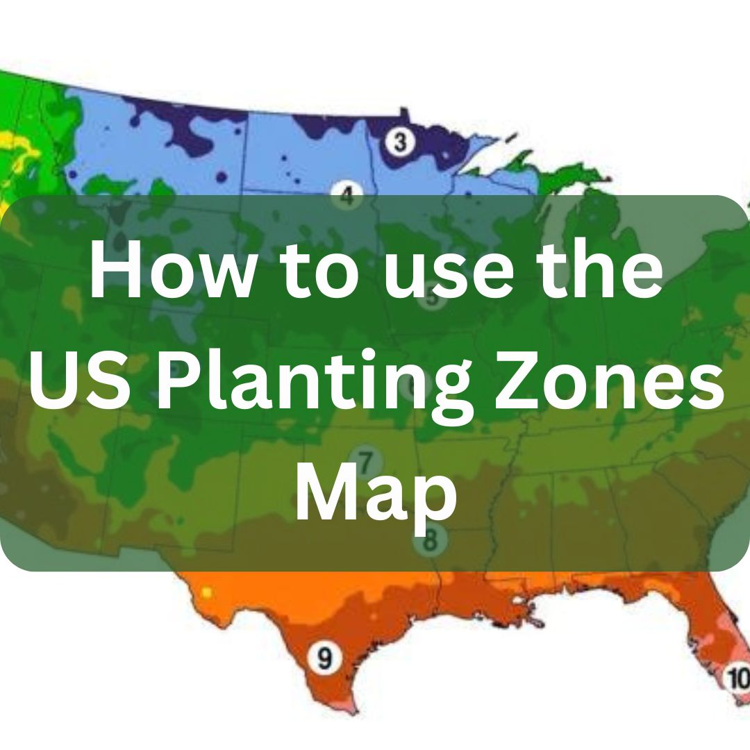 How to Use the US Planting Zones Map – Scenic Bloom Gardening